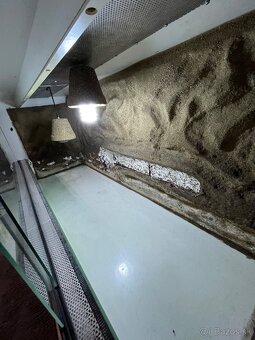 Terarium - 4
