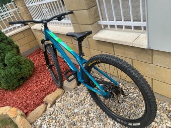 CTM Raptor 1.0 2020 - 4