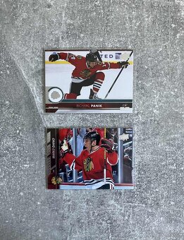 Hokejové kartičky Slováci v NHL - 4