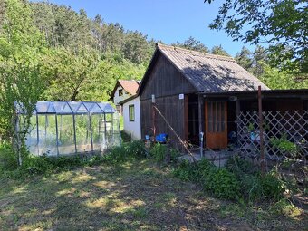ZÁHRADA S CHATKOU A PIVNICOU pri Piešťanoch - 4
