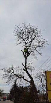 Rizikové pílenie - 4