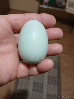 Nasadove vajicka domaci mix - 4