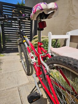 Dievčenský bike Vector Mirage - 4