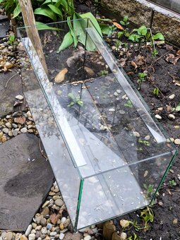 Terarium - 4