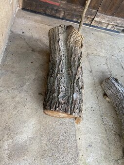 Orechové kmene, guľatina - 4