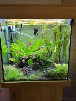 Komplet akvarium 150L - 4