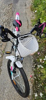 Dievčenský bicykel 20 - 4