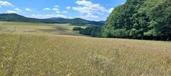 Na predaj orná pôda a les v obci Podkylava, časť Jancovo (ok - 4