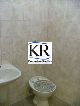 Komerčné priestory v Nitre, 240m2 - 4
