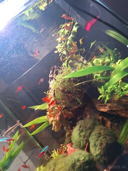 Akvárium NanoCube Dennerle 60l - 4