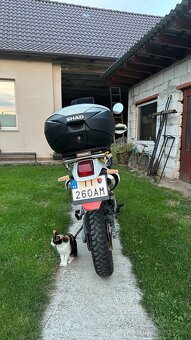 Honda NX 650 Dominator - 4