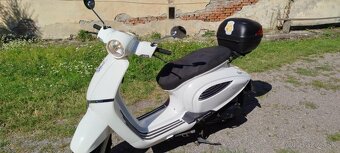 Longjia insetto 125 cm - 4