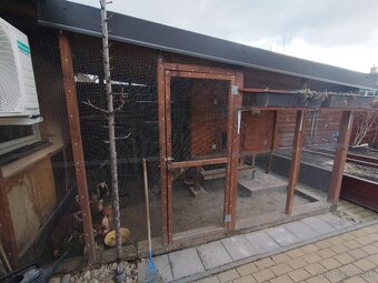 Sliepky a kurín - 4