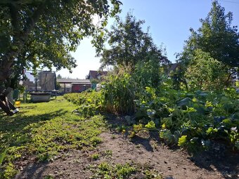 Záhrada na sídl. Mier, Sp. Nová Ves - 4