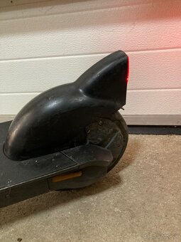BIRD 350W - 4