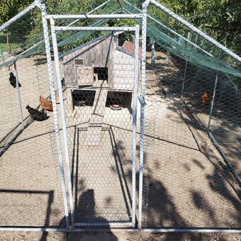 Voliera 6x3m - 4