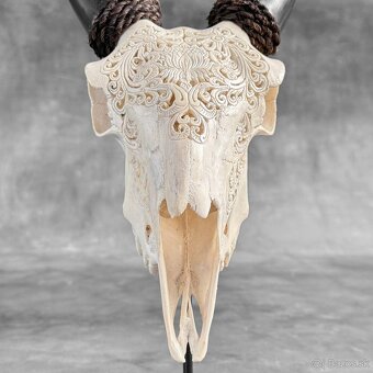 Autentická biela vyrezávaná lebka kozy - motív veľký lotos - 4