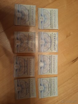 Strieborne mince Tech. Pamiatky - 4