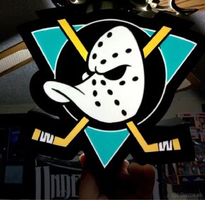 🔆🔆🔆Lightbox / LED box 🔆🔆🔆 NHL tímy - 4