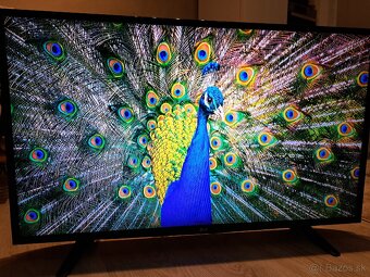 Televízor LG 43LF510V - 4