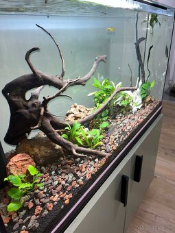 Predám akváriový set - 4