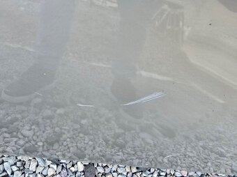 Predná kapota Hyundai i20 - 4