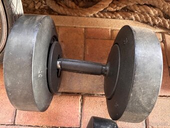 Jednorucne činky Technogym 30 kg - 4