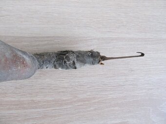 Predám starý cca 95 ročný " pahovník" - 4