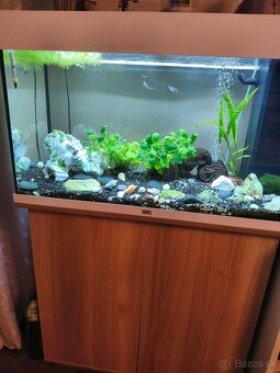 Predám akvárium - 4