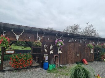 Voliery , klietky - 4