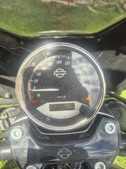 Harley Davidson street 750 - 4