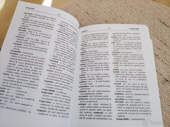 Latinské výrazy a slovníky - 4
