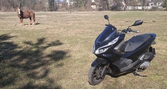 HONDA PCX 125 - 4