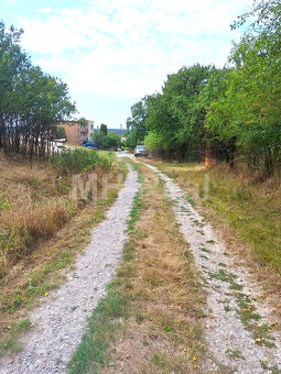 BAČKOVÍK - rovinatý pozemok v zastavanom území 40 EUR/m2 - 4