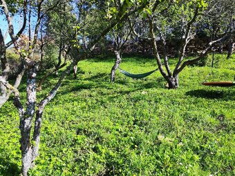 Záhrada s chatkou v pokojnom prostredí - 4