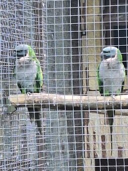 Alexander cinsky - 4