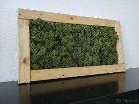 Predám obraz z machu: Obdĺžnik drevo M (54 x 29 cm) - 4