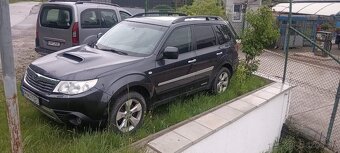Subaru Forester - 4
