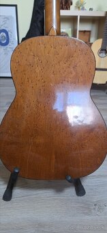 Schneider guitar akustika - 4