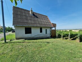 Viničný domček blízko obce Podhájska, EXKLUZÍVNE U NÁS - 4