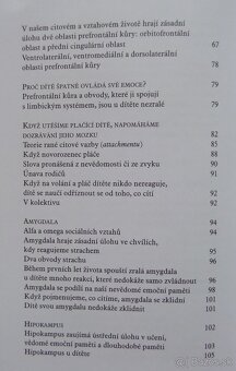 Cesta ke šťastnému dětsví - 4