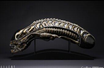 Alien head sideshow - 4
