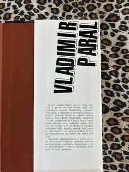 Mladý muž a biela veľryba - Vladimír Páral r.1977 - 4