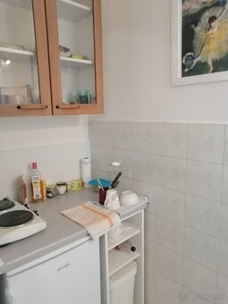 Prenajom garsonky v Ruzinove - 4