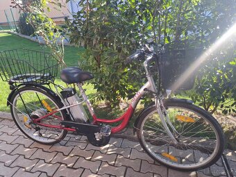 E bike Dinoti Paris - 4