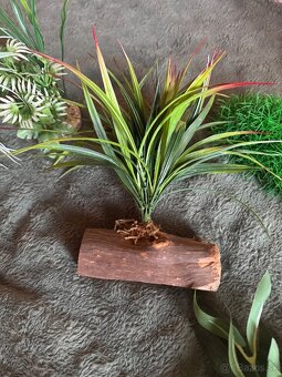 Dekoracia do akvaria & teraria 8€ / ks - 4