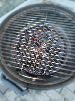 Weber grill - 4