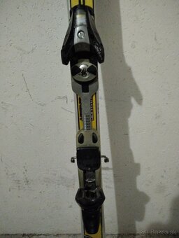 Lyže DYNAMIC + palice - 4