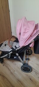 Petite mars royal - 4