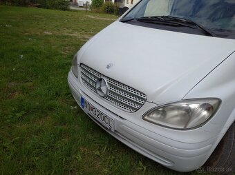 Vito - 4